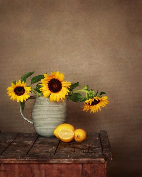 » Eye 4 Photography Still life photography