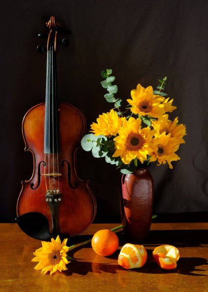 » Eye 4 Photography Still life photography