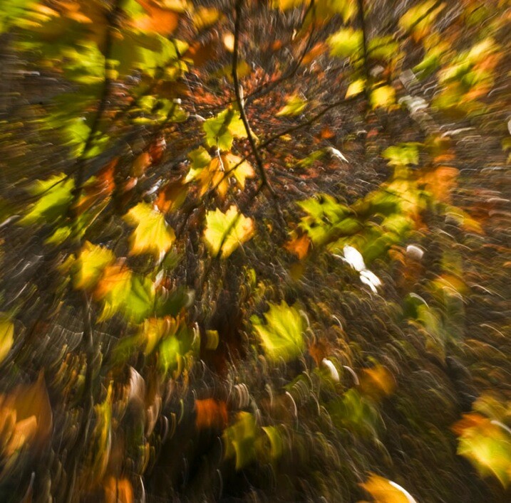 5-Zoom Autumn Leaves by Eva Polak.jpg » Eye 4 Photography Impressionist photography