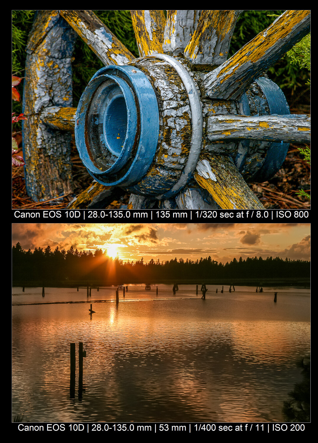Program Mode Camera Examples Everything You Need to Know (Ultimate Guide) » Eye 4 Photography