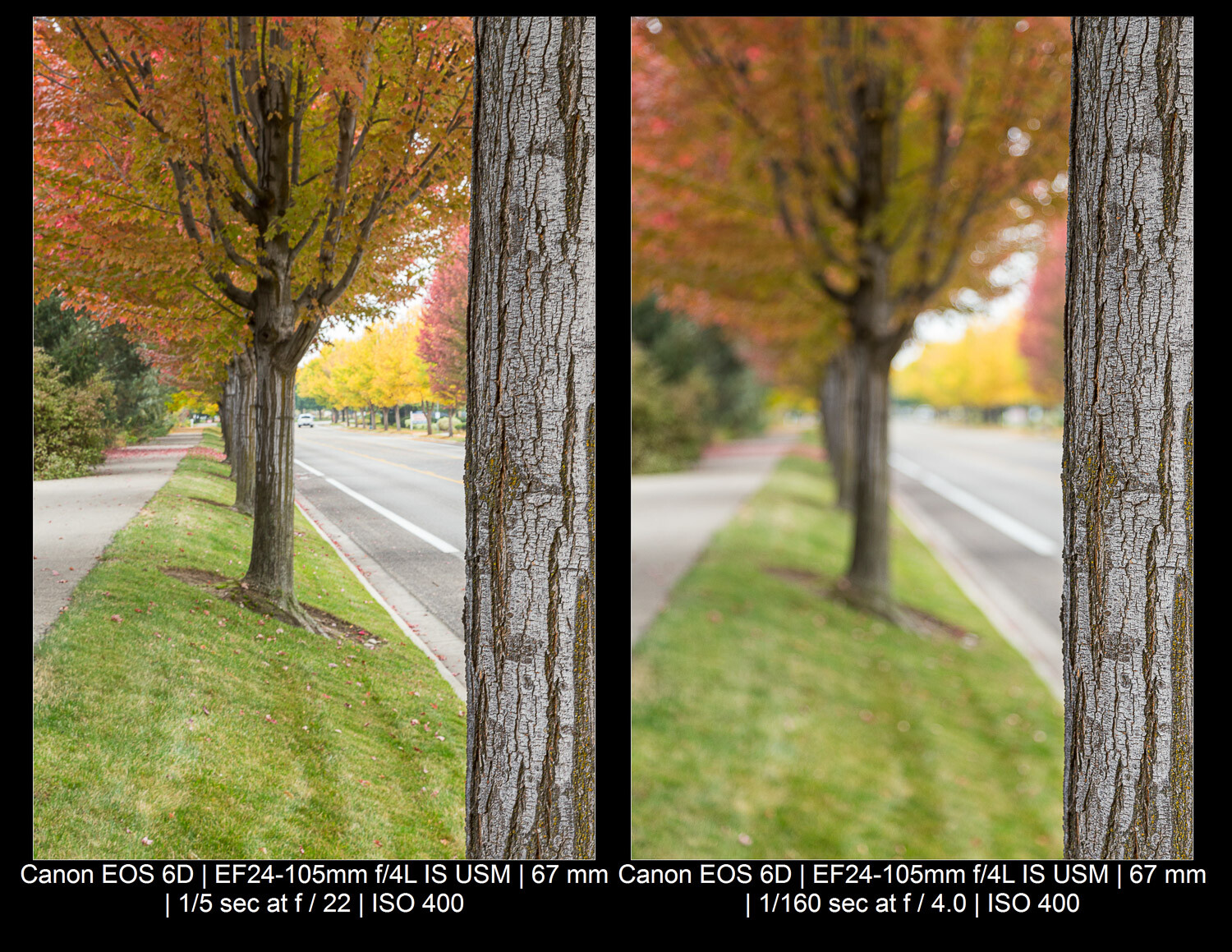 » Eye 4 Photography aperture/depth of field comparison