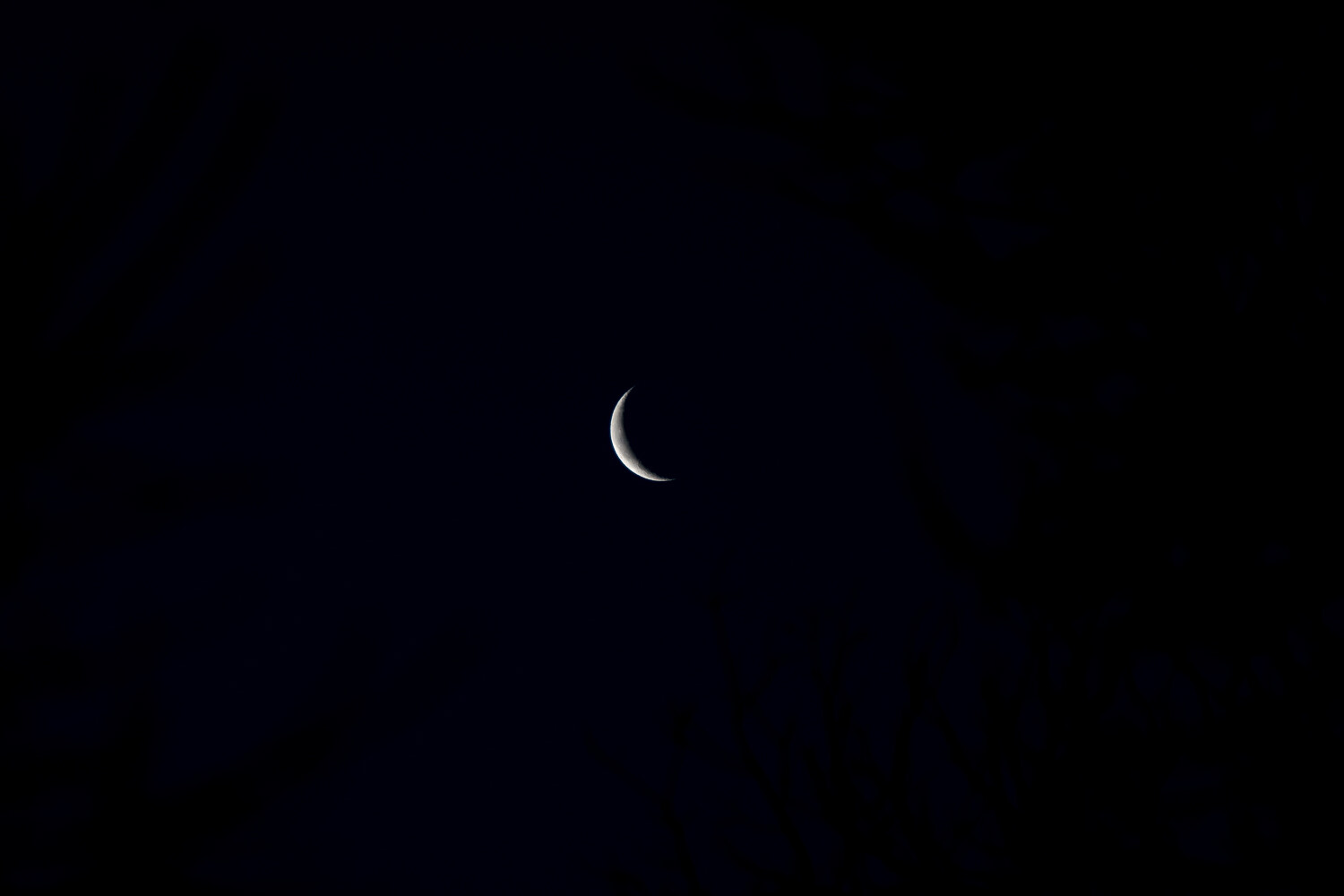 » Eye 4 Photography Crescent moon Unprocessed RAW