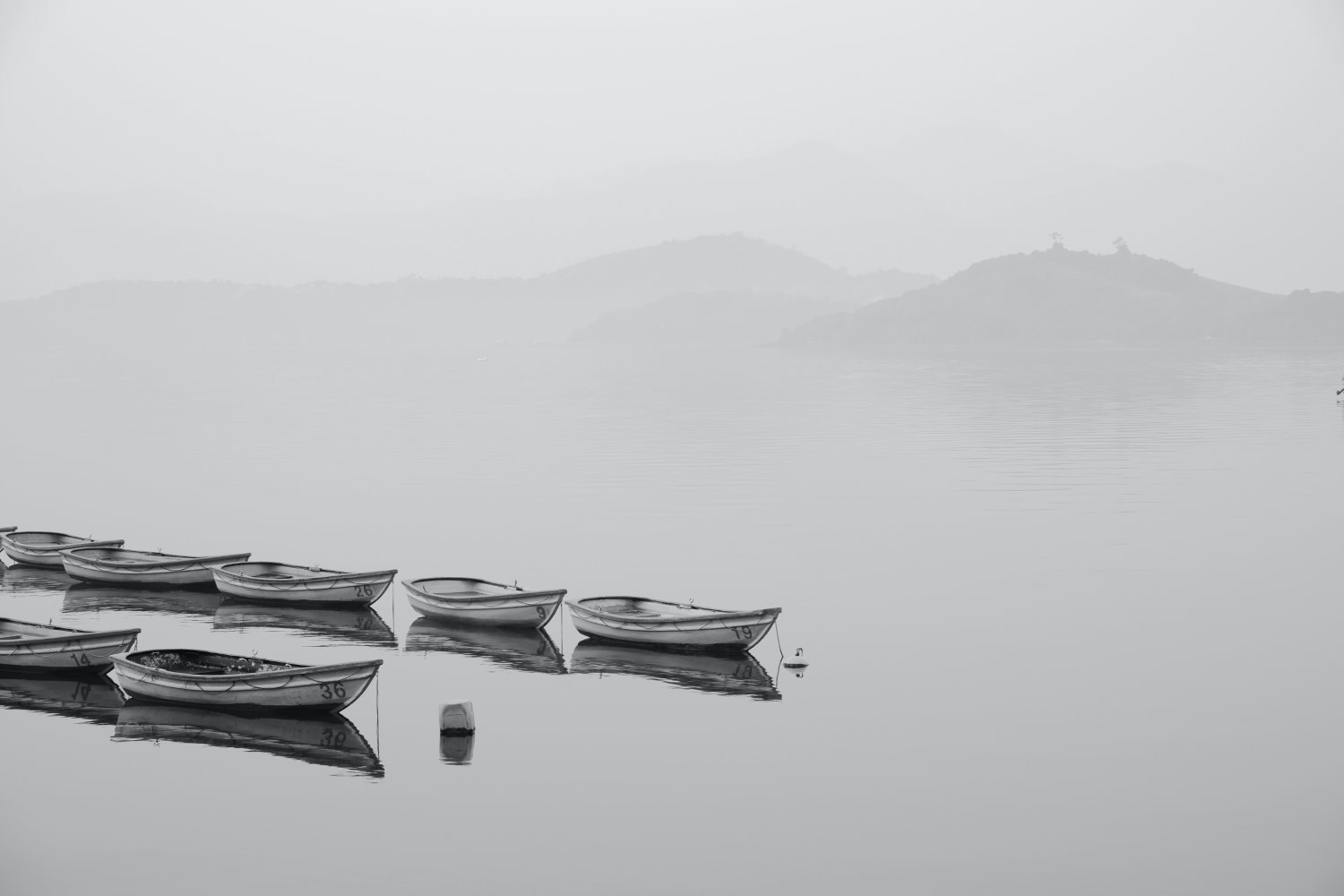 » Eye 4 Photography Negative space photography