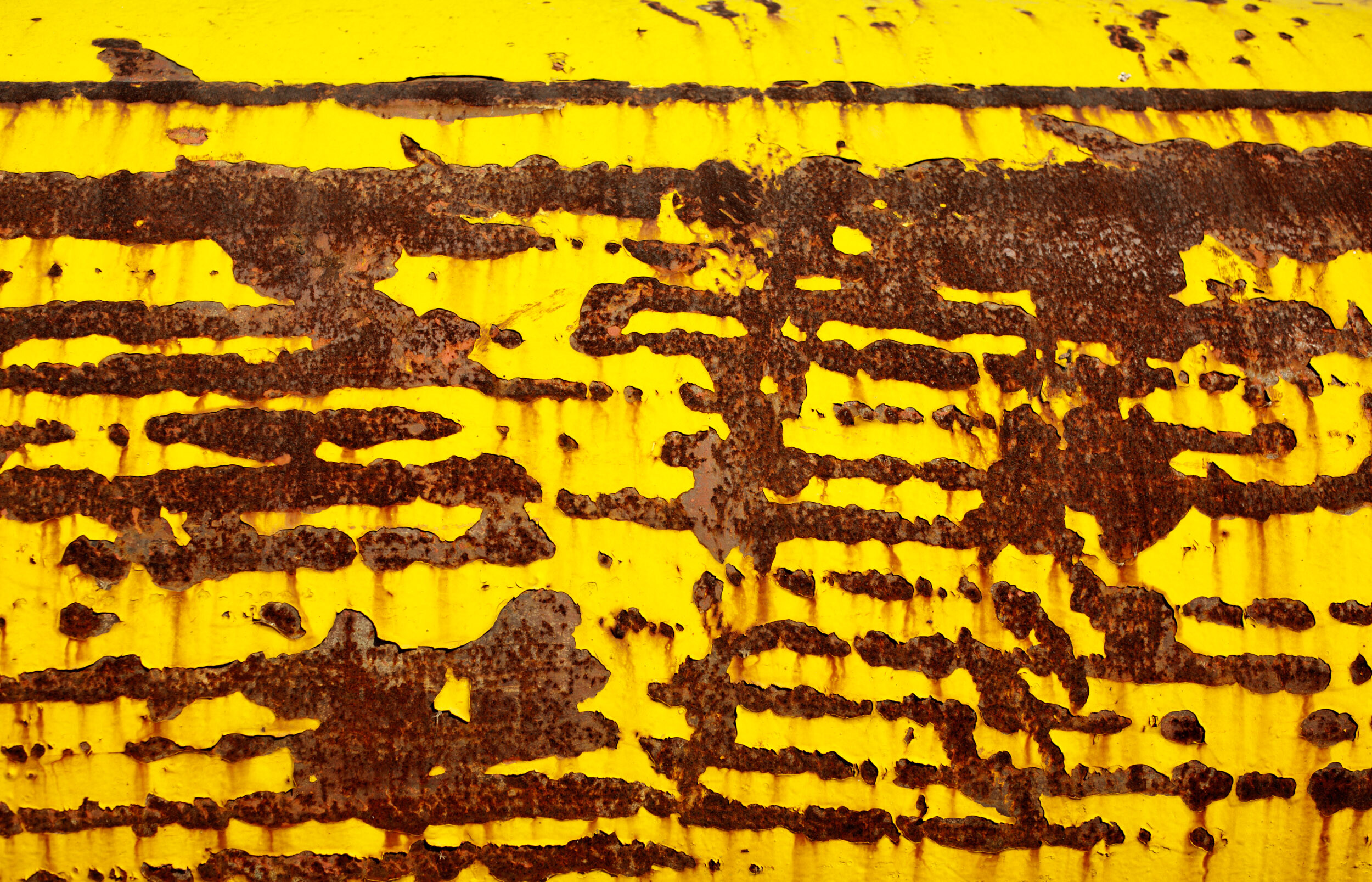 » Eye 4 Photography textured yellow and rust front light photography