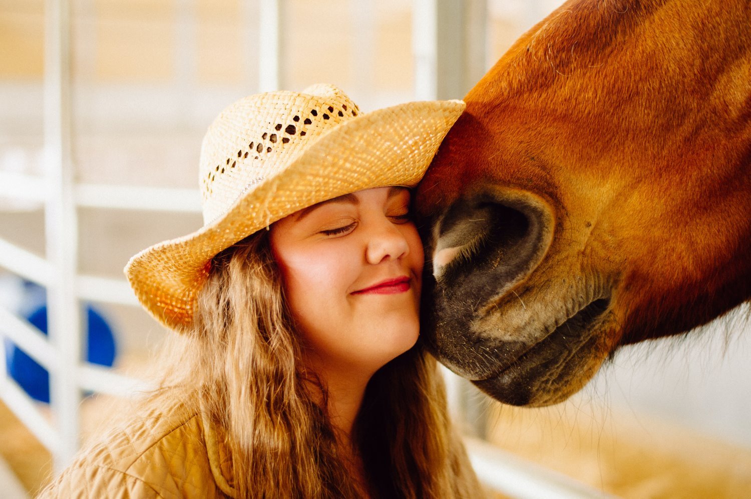 » Eye 4 Photography Horse photography