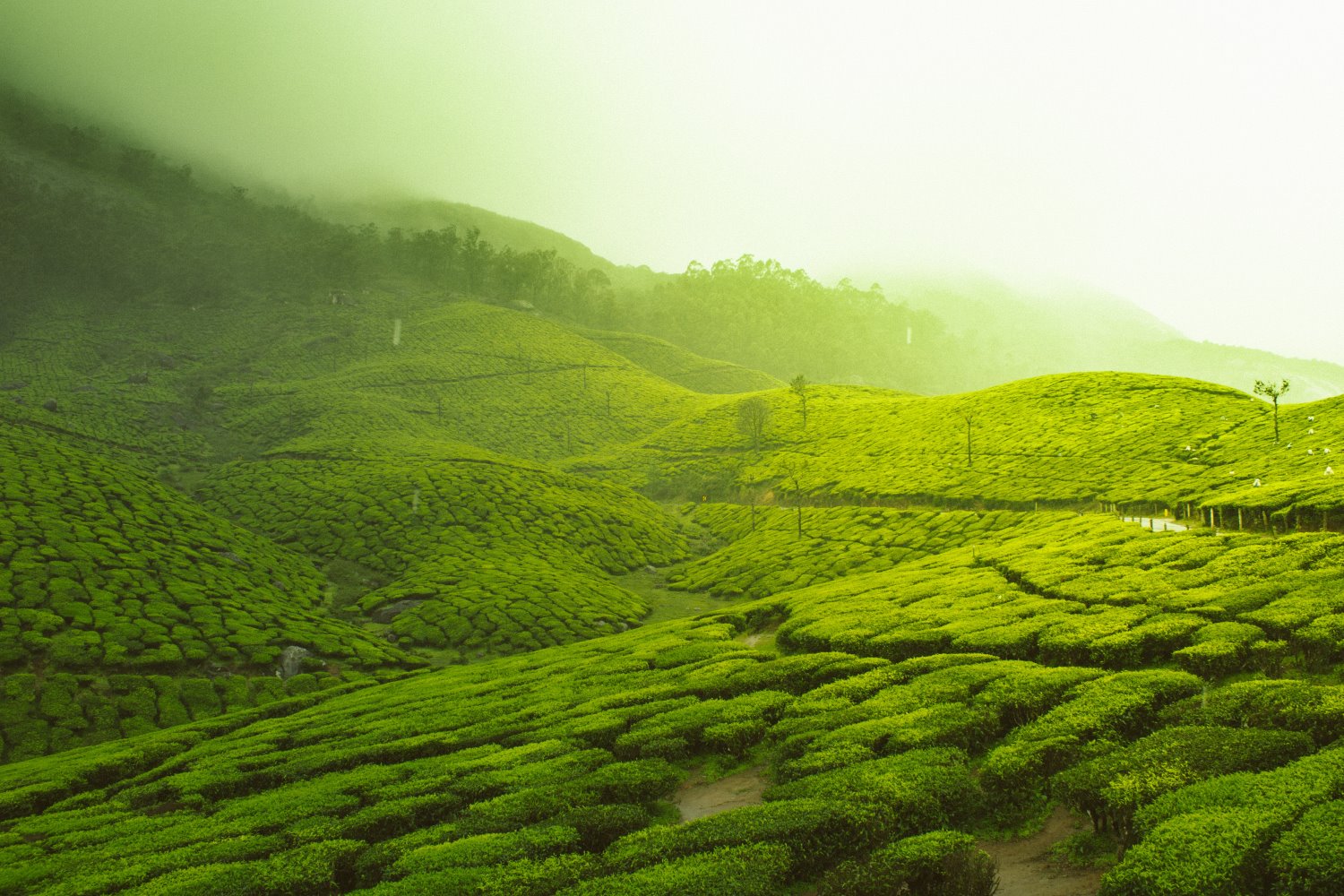 » Eye 4 Photography Landscape Photography: A Comprehensive Guide (+ 23 Expert Tips)