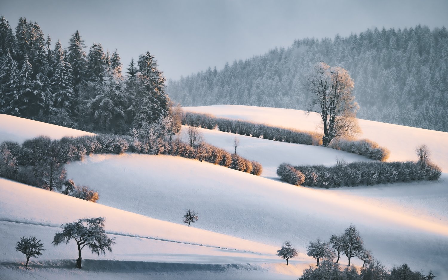 » Eye 4 Photography landscape photography tips snow at golden hour