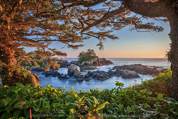 » Eye 4 Photography How to photograph trees