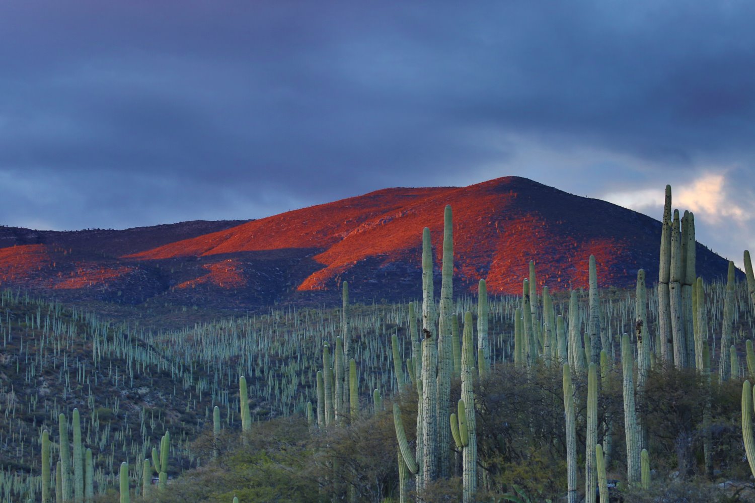 » Eye 4 Photography Landscape Photography: A Comprehensive Guide (+ 23 Expert Tips)