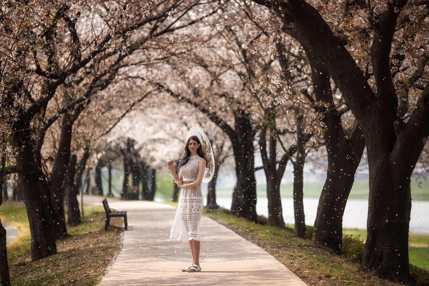 » Eye 4 Photography woman standing in a tunnel of trees with an umbrella