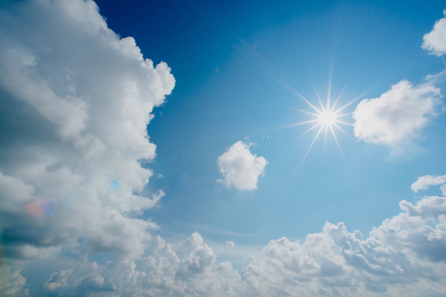» Eye 4 Photography Photography in Bright Sunlight: 14 Easy Tips for Beautiful Results
