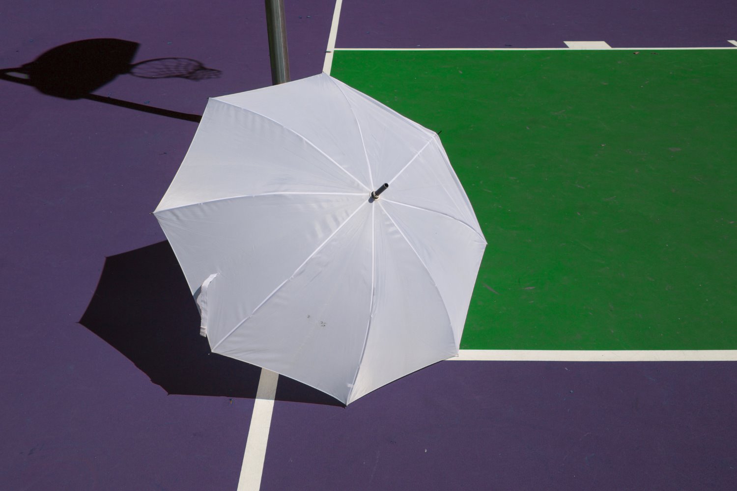 » Eye 4 Photography Photography in Bright Sunlight: 14 Easy Tips for Beautiful Results
