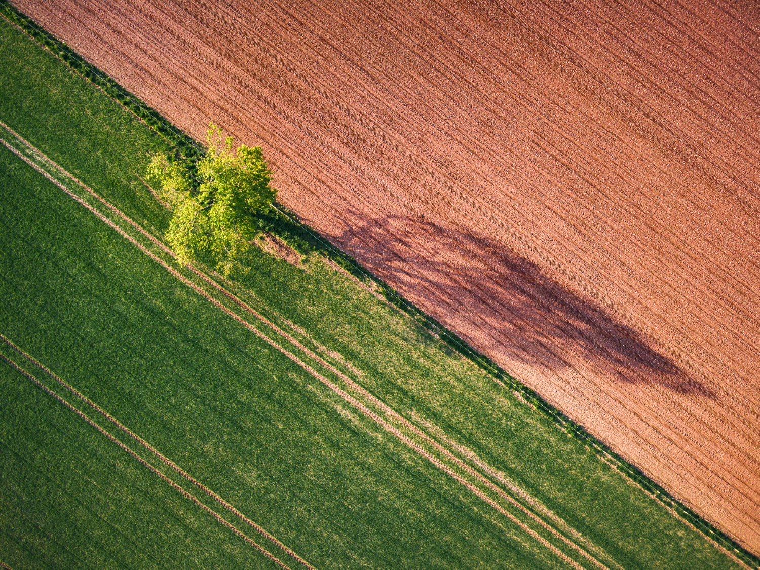 » Eye 4 Photography Composition rules in photography