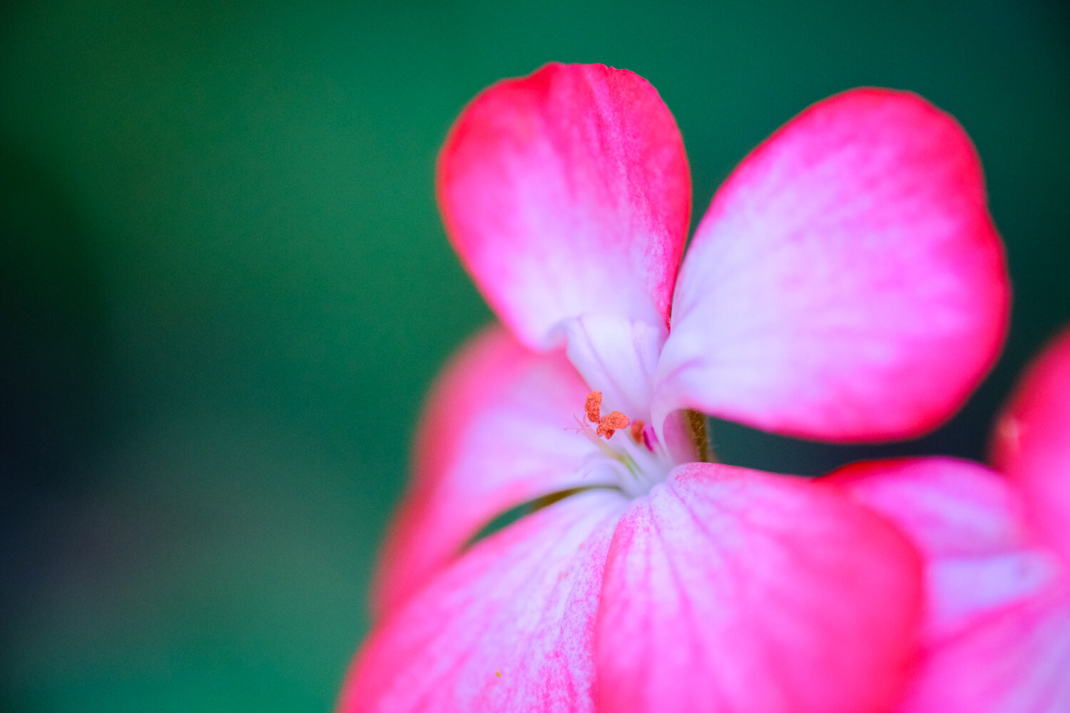 » Eye 4 Photography Thing you can photograph in your home