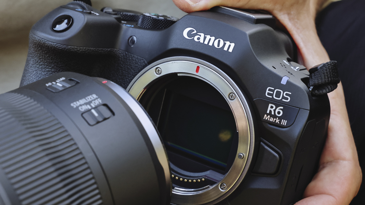 » Eye 4 Photography Canon EOS R6 Mark III