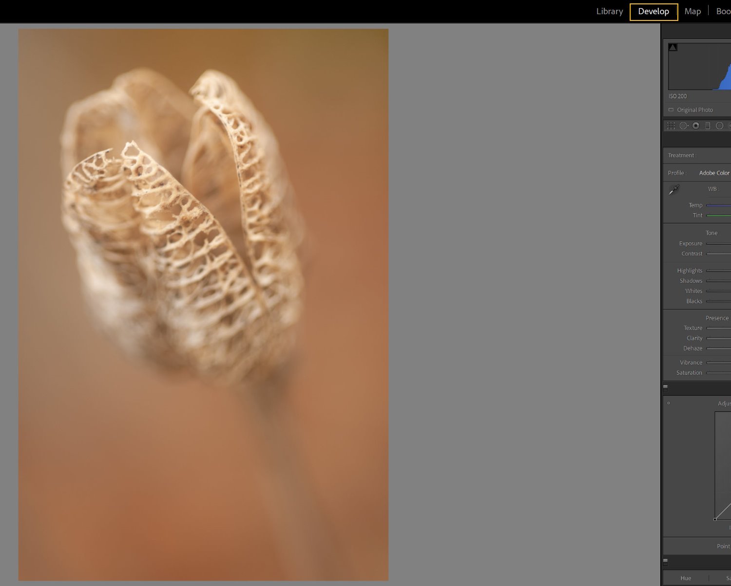 » Eye 4 Photography image in Develop module