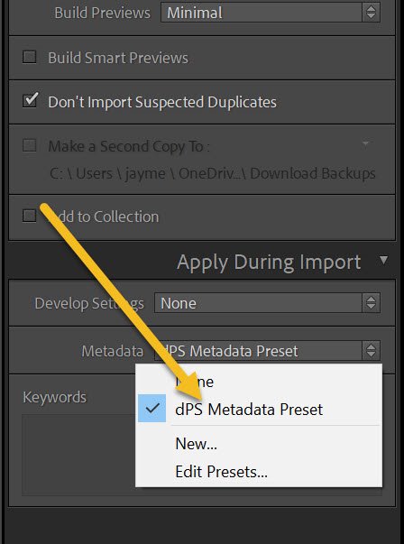 » Eye 4 Photography dPS metadata preset