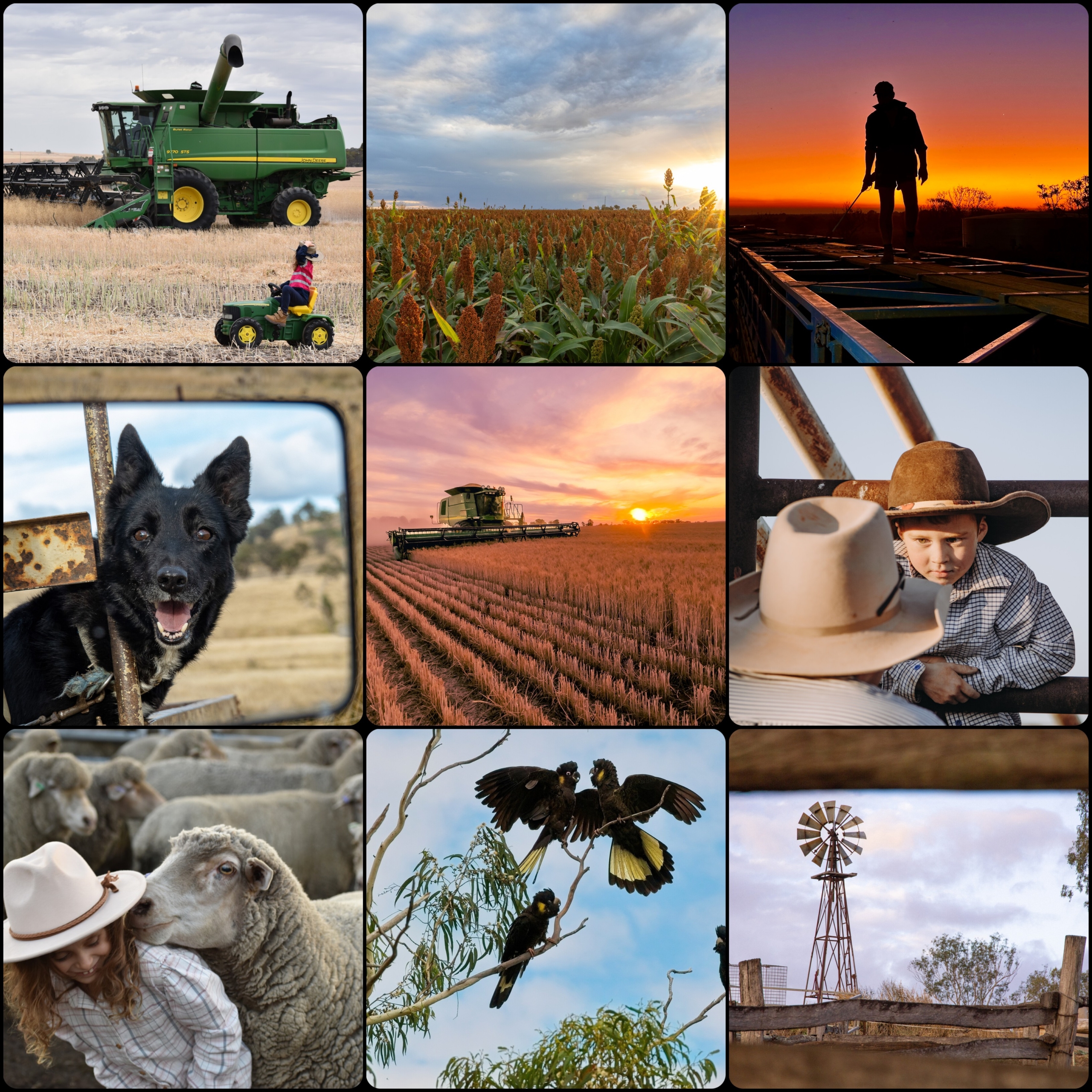 » Eye 4 Photography Spirit of the Bush Photography Competition returns for 2026
