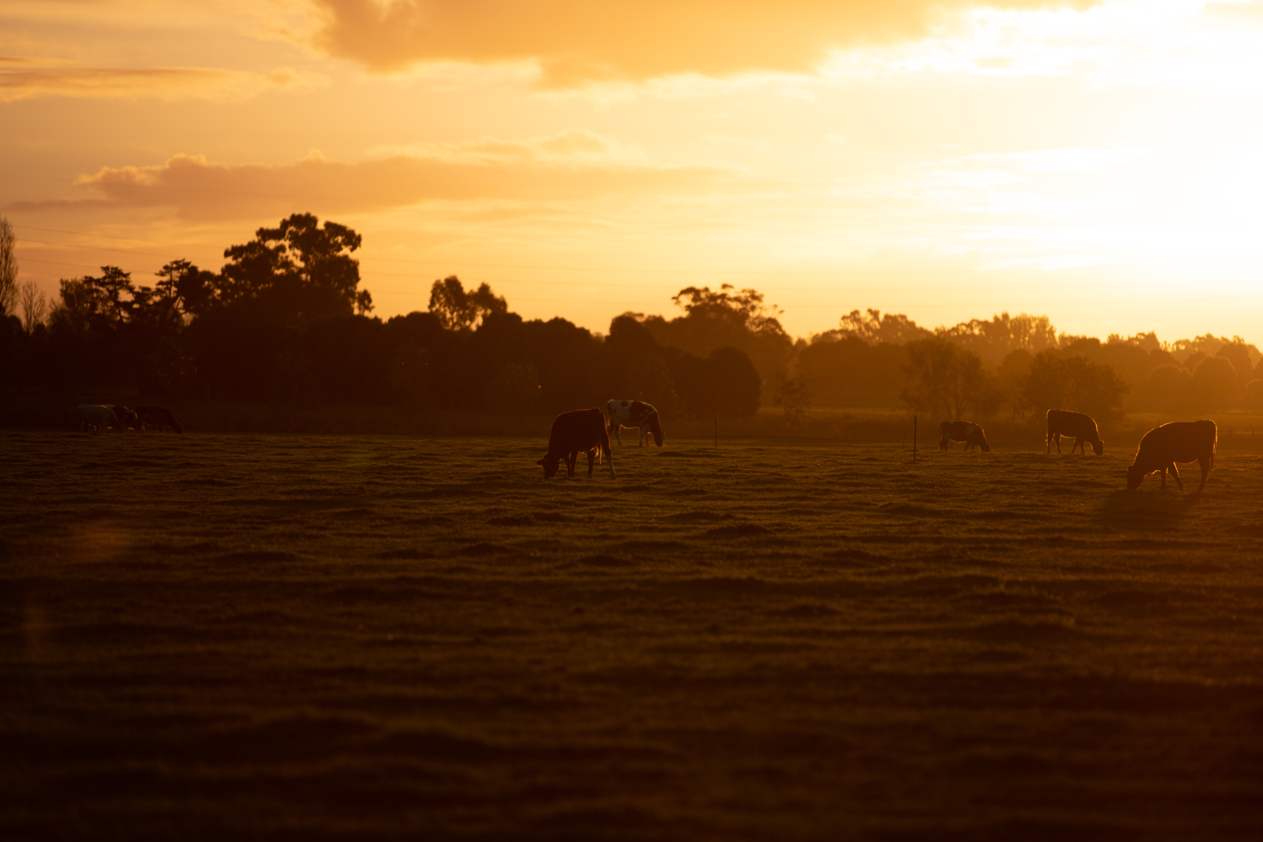 » Eye 4 Photography Spirit of the Bush Photography Competition returns for 2026