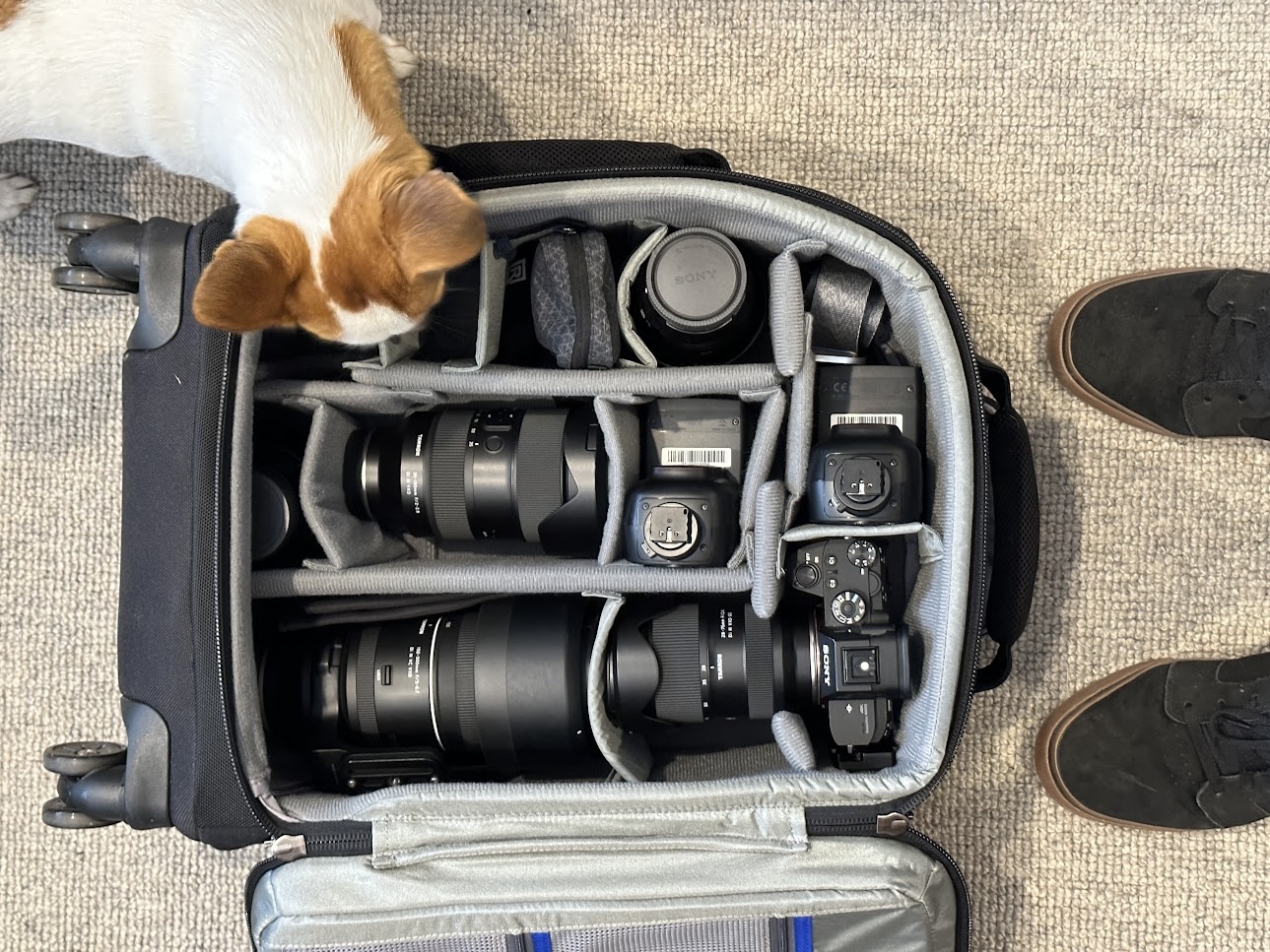 » Eye 4 Photography The Secret Lives of Camera Bags