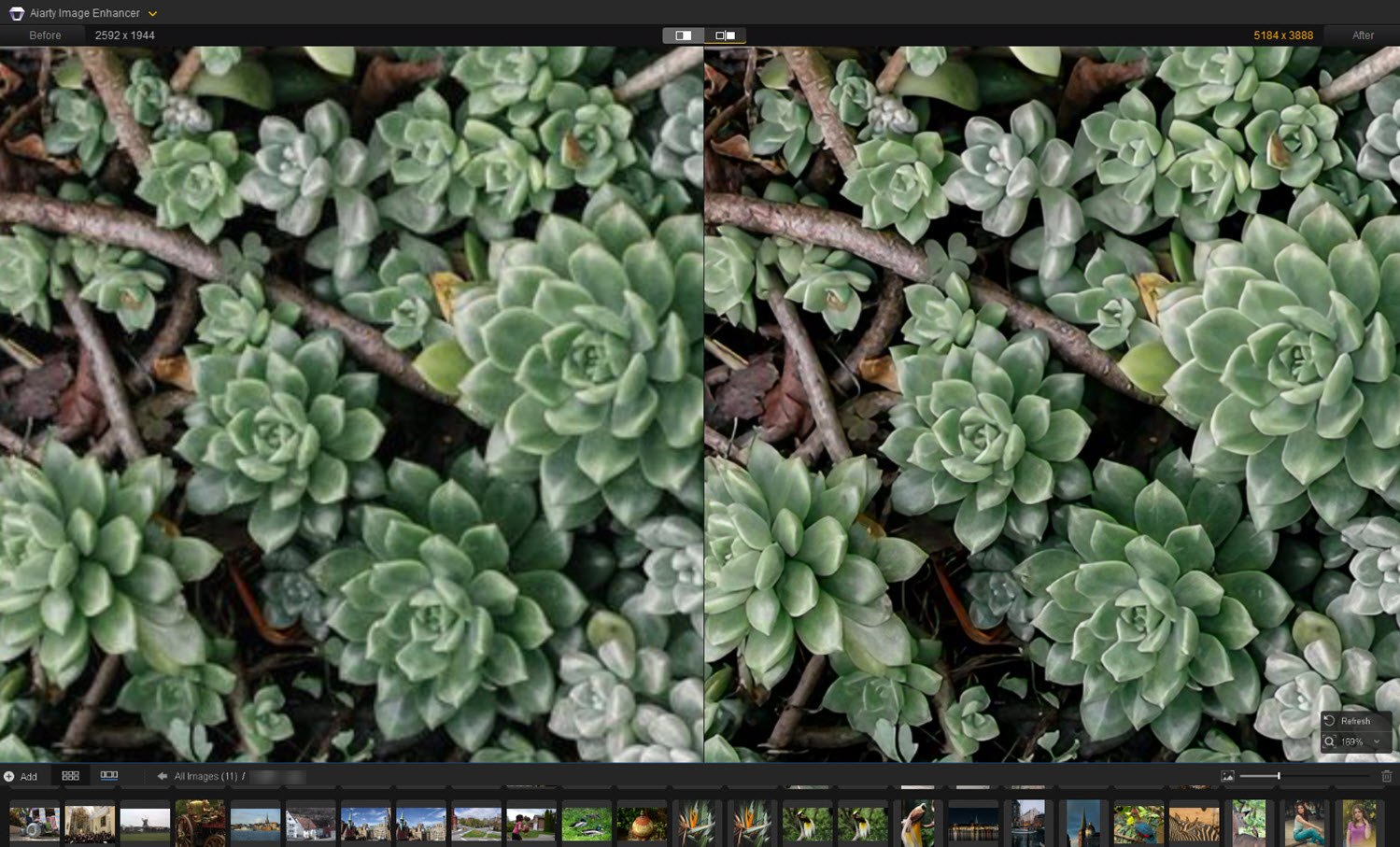» Eye 4 Photography 6 Best Photo Sharpening Software to Fix Blurry Images