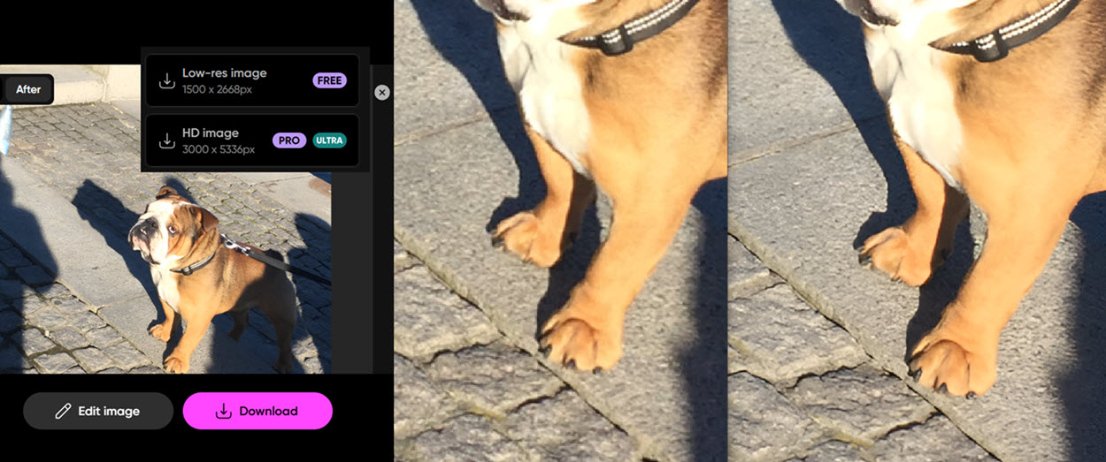 » Eye 4 Photography 6 Best Photo Sharpening Software to Fix Blurry Images