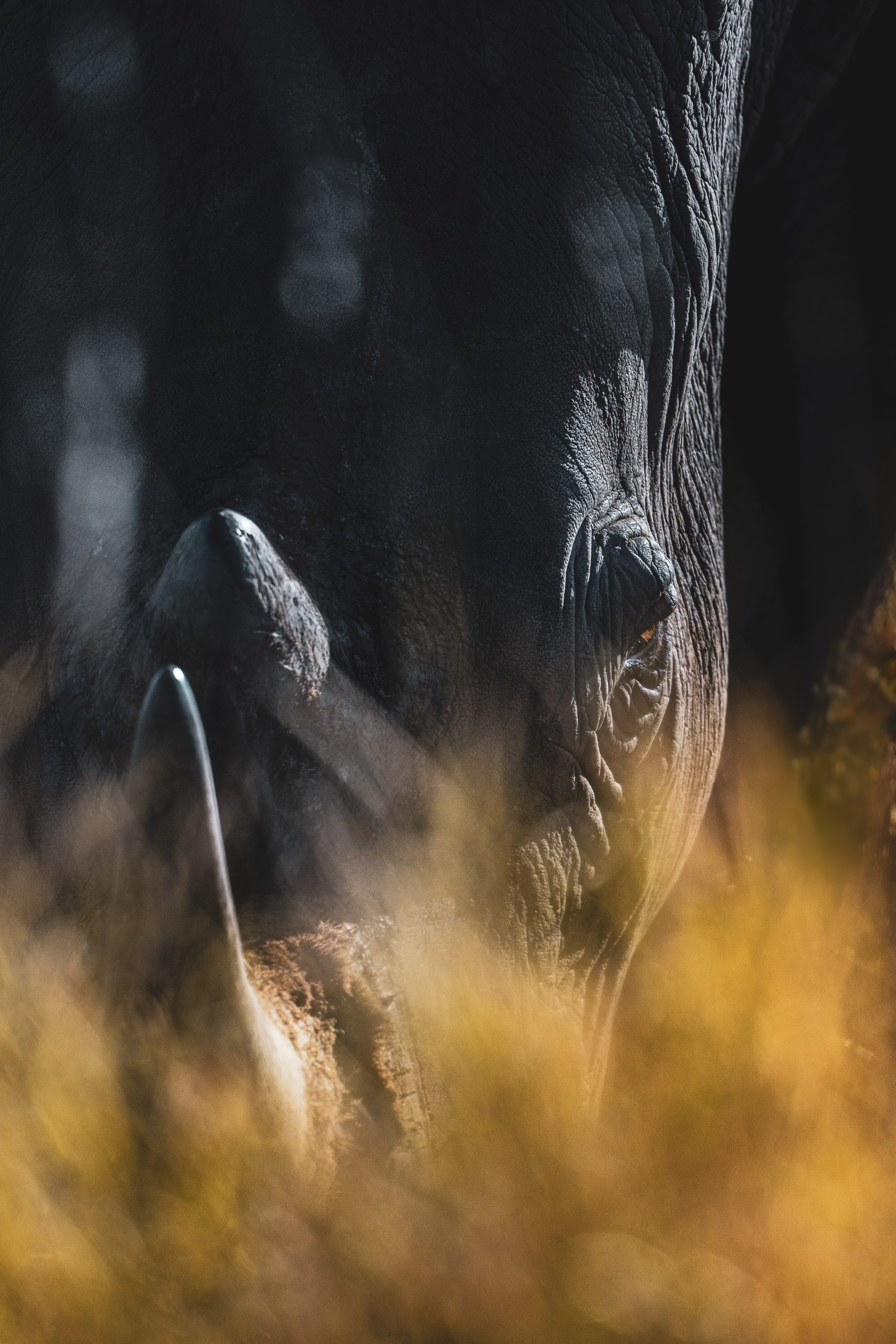 » Eye 4 Photography